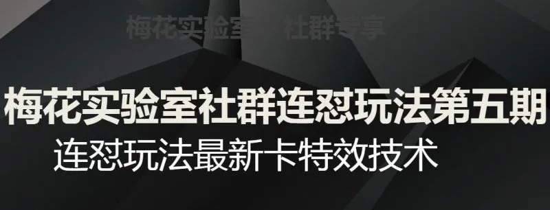 梅花实验室社群连怼玩法第五期，视频号连怼玩法最新卡特效技术-福荣网