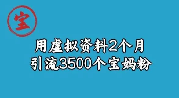 宝哥虚拟资料项目，2个月引流3500个宝妈粉-福荣网