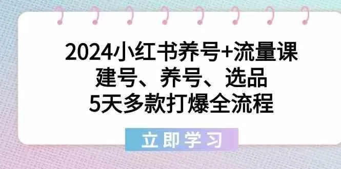 2024小红书养号+流量课：建号、养号、选品，5天多款打爆全流程-福荣网